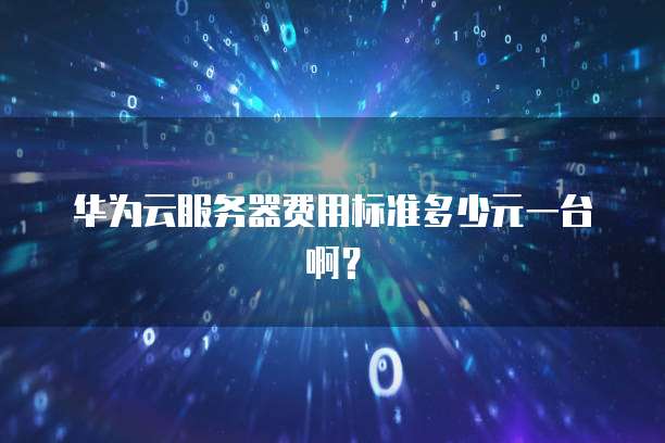 华为云服务器费用标准多少元一台啊？