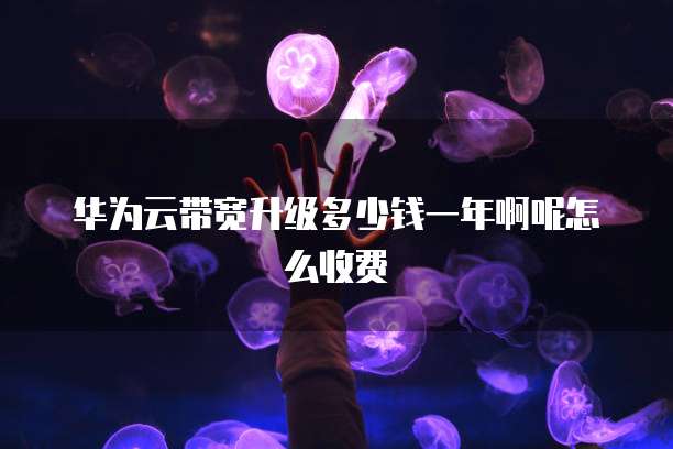 华为云带宽升级多少钱一年啊呢怎么收费