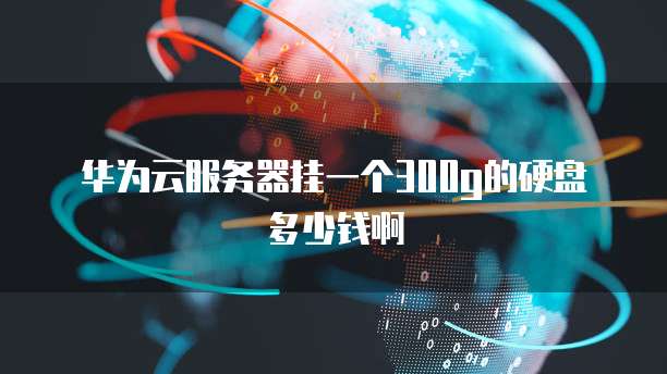 华为云服务器挂一个300g的硬盘多少钱啊