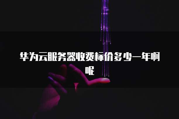 华为云服务器收费标价多少一年啊呢
