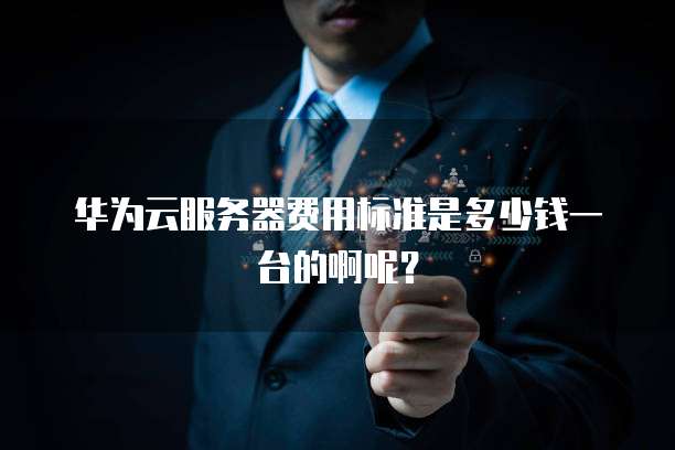 华为云服务器费用标准是多少钱一台的啊呢？