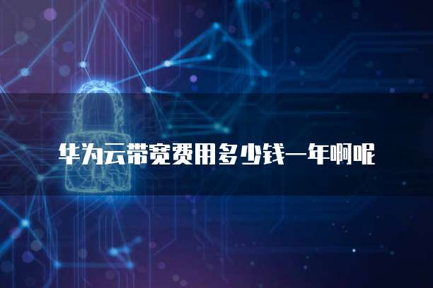 华为云带宽费用多少钱一年啊呢