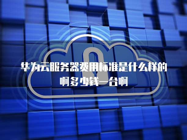 华为云服务器费用标准是什么样的啊多少钱一台啊