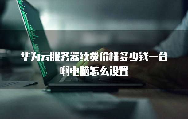 华为云服务器续费价格多少钱一台啊电脑怎么设置