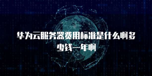 华为云服务器费用标准是什么啊多少钱一年啊