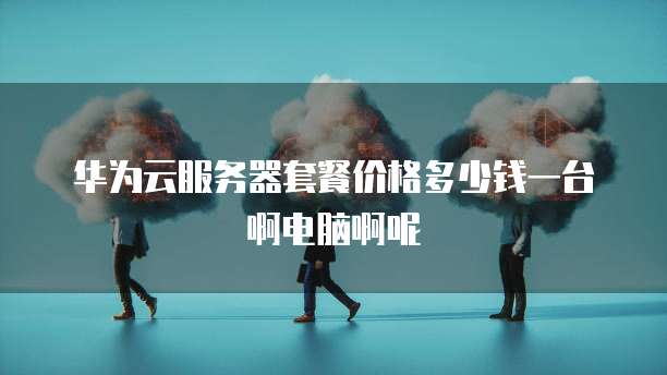 华为云服务器套餐价格多少钱一台啊电脑啊呢