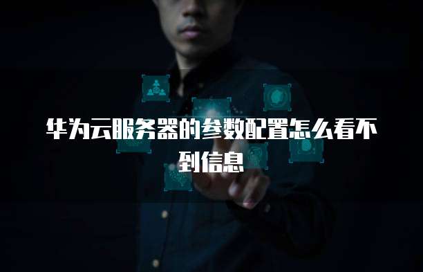 华为云服务器的参数配置怎么看不到信息
