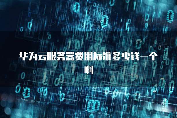 华为云服务器费用标准多少钱一个啊