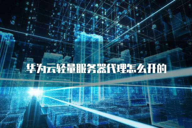 华为云轻量服务器代理怎么开的