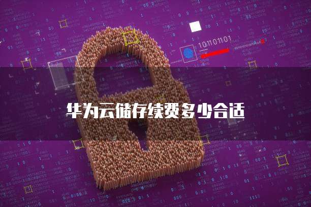 华为云储存续费多少合适