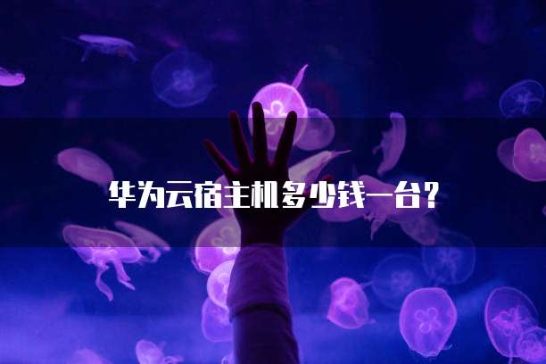 华为云宿主机多少钱一台?