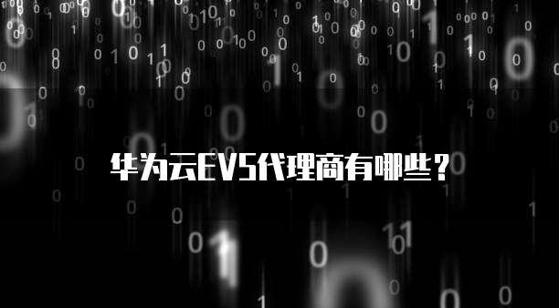华为云EVS代理商有哪些?