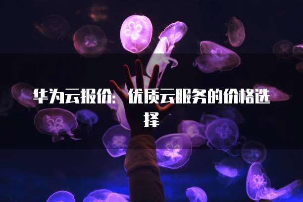 华为云报价:优质云服务的价格选择