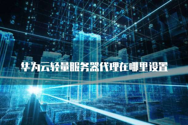 华为云轻量服务器代理在哪里设置