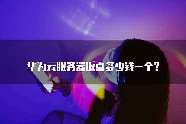 华为云服务器返点多少钱一个?