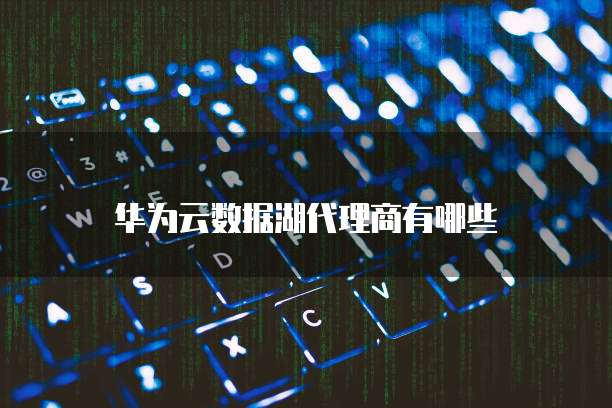 华为云数据湖代理商有哪些