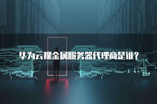 华为云裸金属服务器代理商是谁?