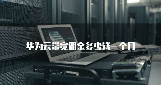 华为云带宽佣金多少钱一个月