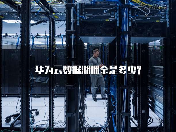 华为云数据湖佣金是多少?