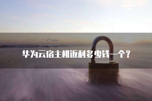 华为云宿主机返利多少钱一个?