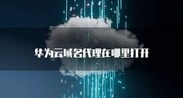 华为云域名代理在哪里打开