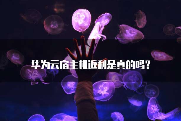 华为云宿主机返利是真的吗?