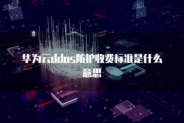 华为云ddos防护收费标准是什么意思