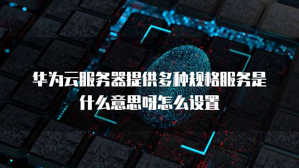 华为云服务器提供多种规格服务是什么意思呀怎么设置