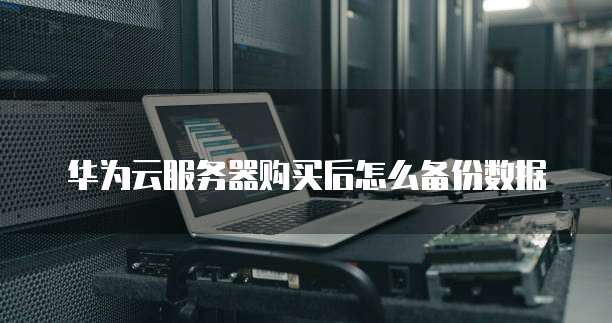 华为云服务器购买后怎么备份数据