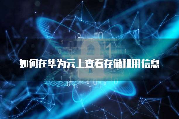 如何在华为云上查看存储租用信息