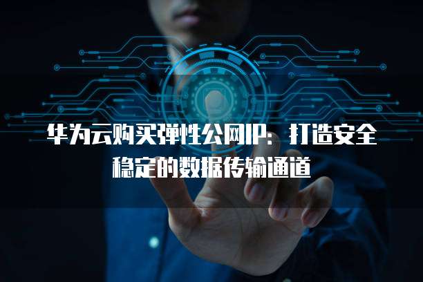 华为云购买弹性公网IP:打造安全稳定的数据传输通道
