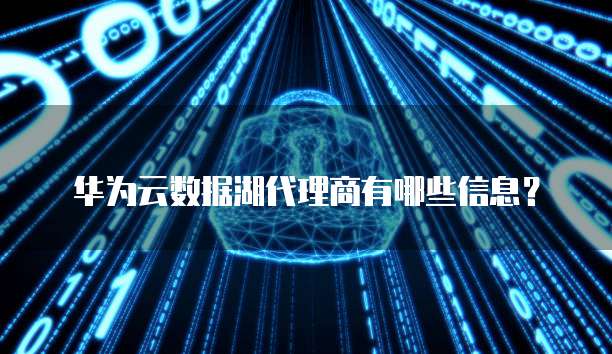 华为云数据湖代理商有哪些信息?