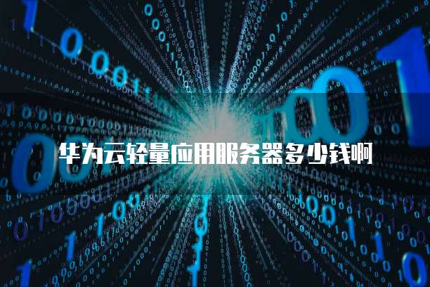 华为云轻量应用服务器多少钱啊