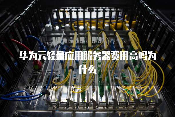 华为云轻量应用服务器费用高吗为什么
