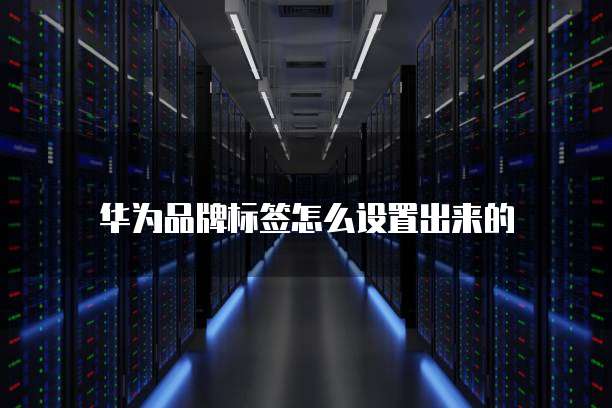 华为云服务器价格优势有哪些优缺点