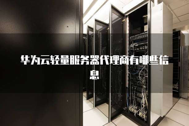 华为云轻量服务器代理商有哪些信息