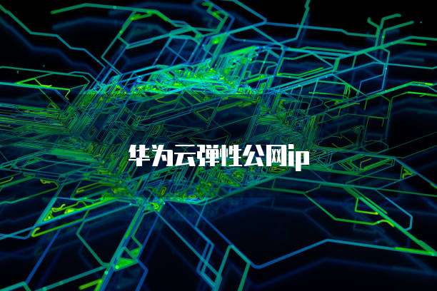 华为云弹性公网ip