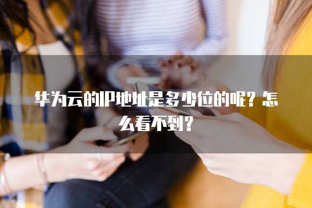 华为云的IP地址是多少位的呢?怎么看不到?