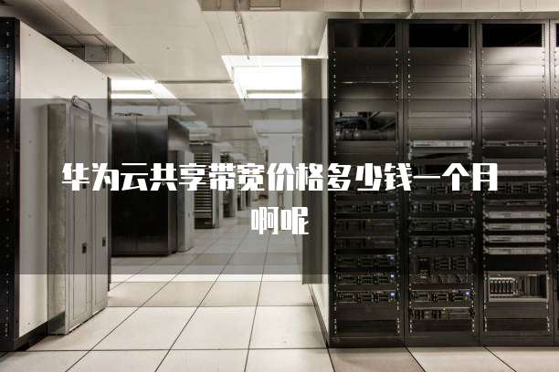 华为云共享带宽价格多少钱一个月啊呢