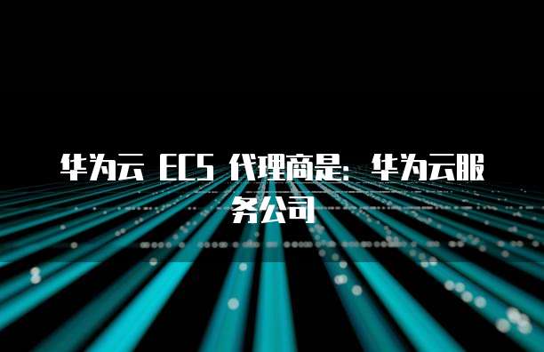 华为云 ECS 代理商是:华为云服务公司