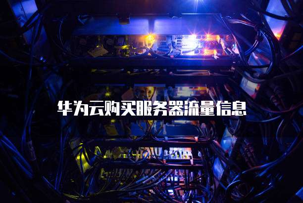 华为云购买服务器流量信息