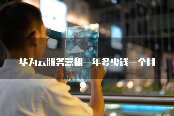 华为云服务器租一年多少钱一个月