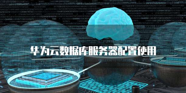 华为云数据库服务器配置使用