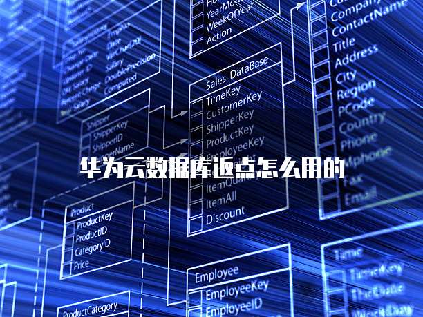 华为云数据库返点怎么用的