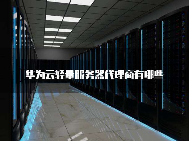 华为云轻量服务器代理商有哪些