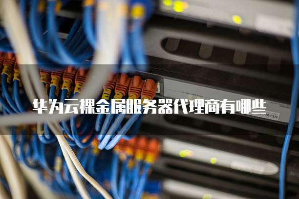 华为云裸金属服务器代理商有哪些