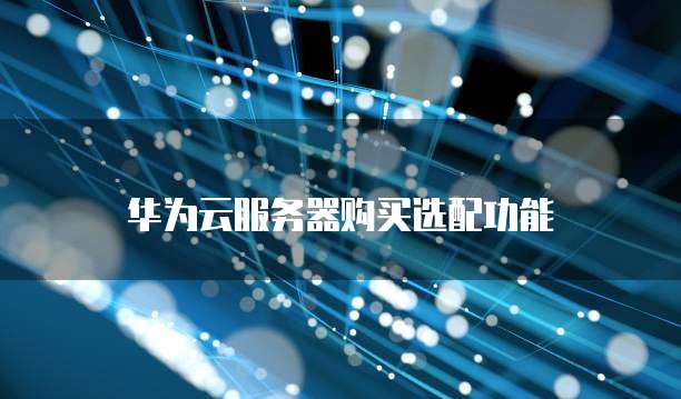 华为云服务器购买选配功能