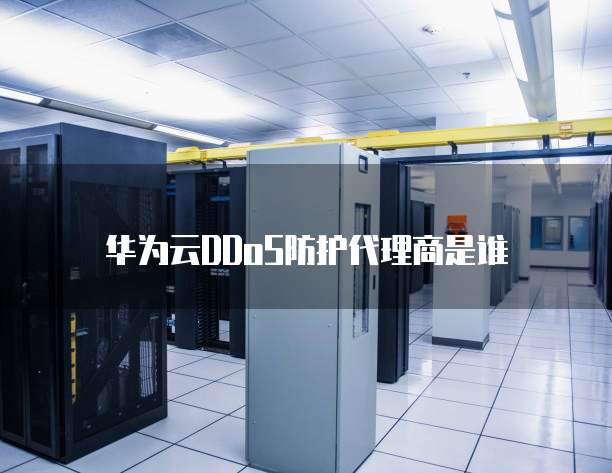 华为云DDoS防护代理商是谁