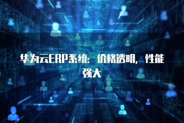 华为云ERP系统:价格透明,性能强大