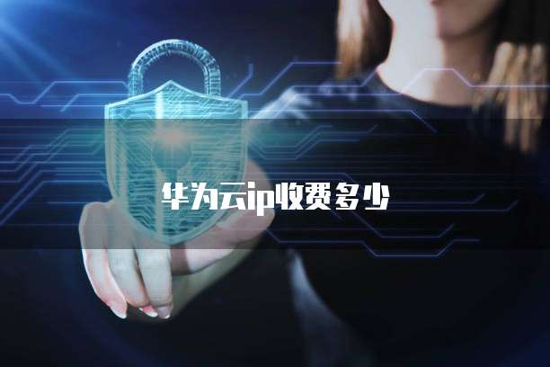 华为云ip收费多少